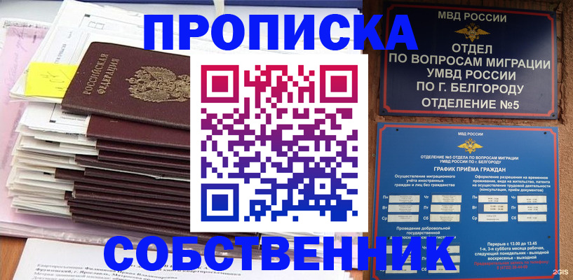прописка законно в Заринске